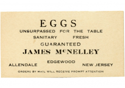 McNeeley Eggs For Sale card